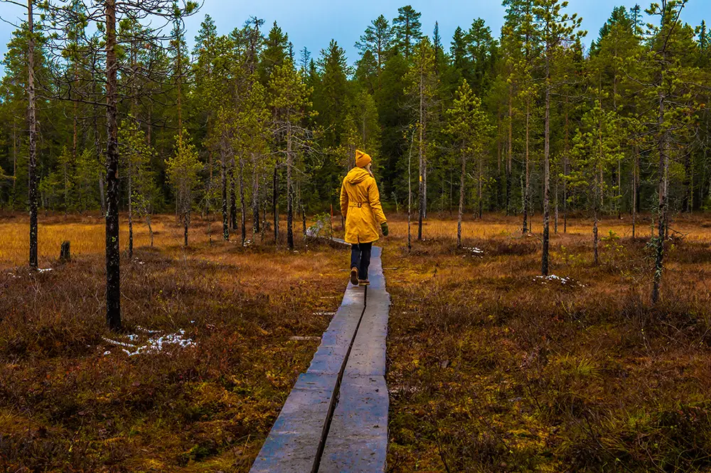 Autumn in Iso-Syöte, Northern Finland