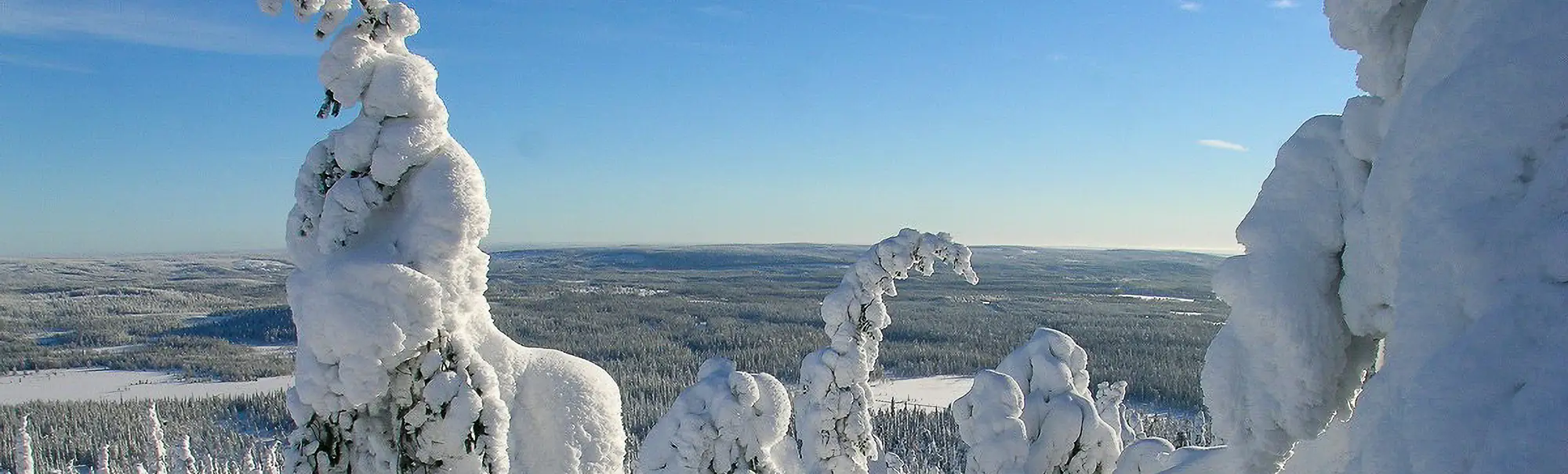 Kuusamo cabins and accommodation