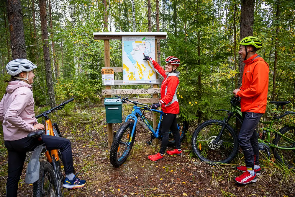 Mountain biking in the forest in autumn